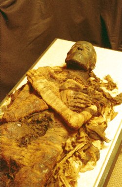 Egyptian Pharaoh Seti Mummy Picture